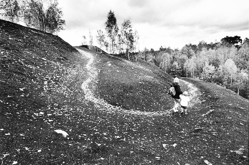 Sur le terril