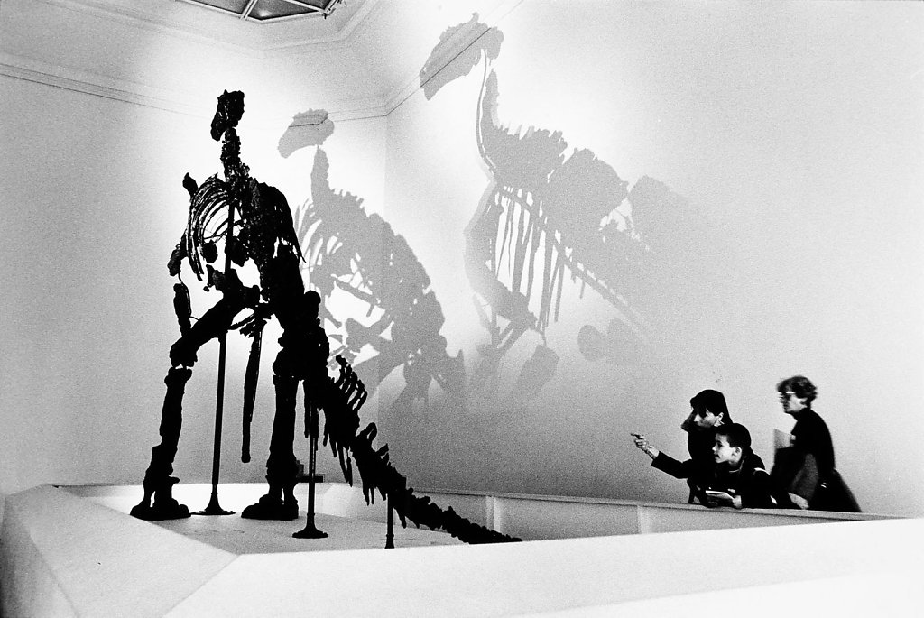Le Tri-Dino