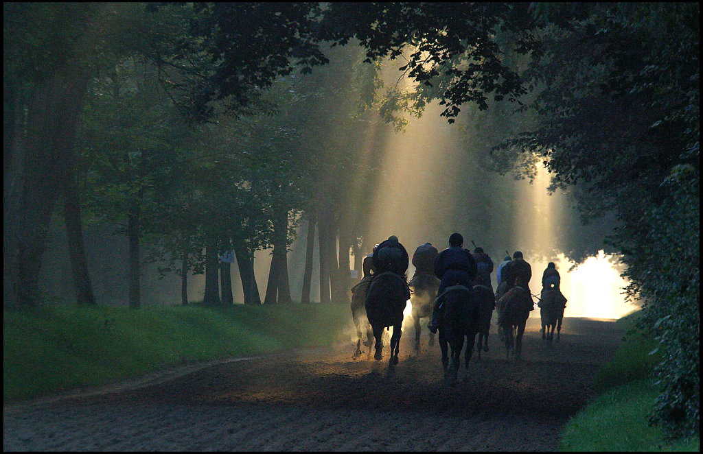 Univers Hippique